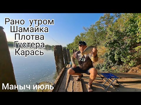 Видео: Ранним утром рыбалка на Маныче клюёт всё карась плотва густера  и даже шамайка!!!