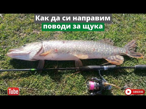 Видео: Как да си направим стоманен повод за щука?