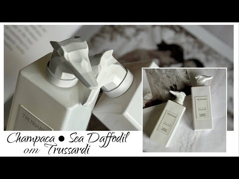Видео: Белые новинки Trussardi