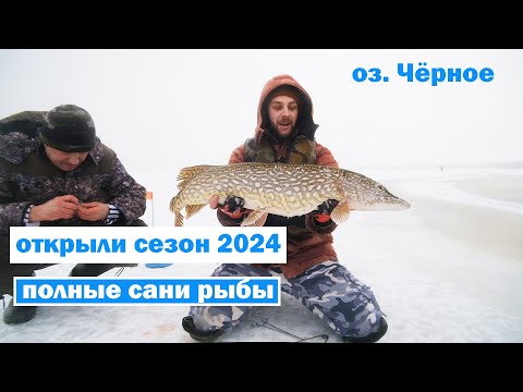 Видео: Наловили полные сани щуки на "чёрном озере" в Белоозёрске