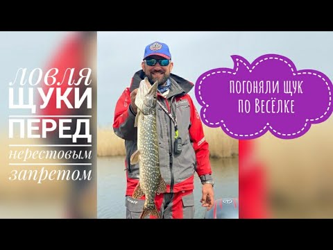 Видео: Весёловское водохранилище,  ловля  щуки перед  нерестовым запретом.
