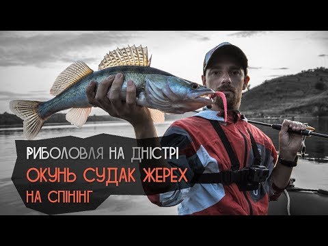 Видео: Окунь, судак, жерех на спінінг. Ловля на Дністрі