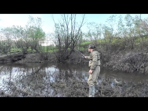 Видео: ЛОВЛЯ РЫБЫ НА ПОПЛАВОК. РЫБАЛКА НА РУЧЬЕ ПО КОТОРОМУ ВЫХОДИТ РЫБА. ЩУКА, ЯЗЬ, ОКУНЬ НА червя.