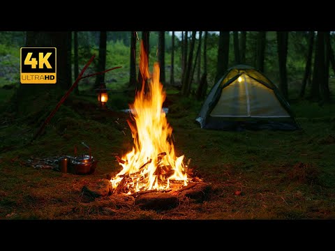 Видео: 4K 📺 Это настоящий костер Bushcraft после заката🔥100% аутентичные звуки