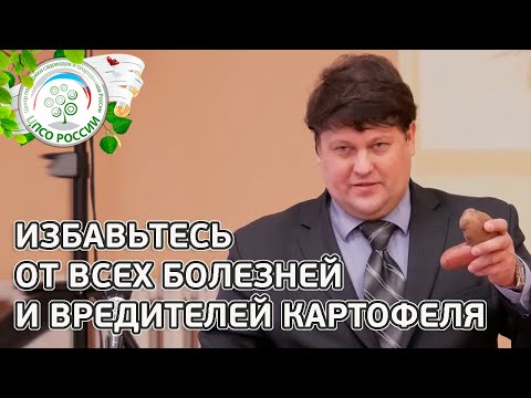 Видео: ВСЯ ПРАВДА ОБ УДОБРЕНИЯХ И ЯДАХ ДЛЯ КАРТОФЕЛЯ. Болезни и вредители картофеля.  Лекция