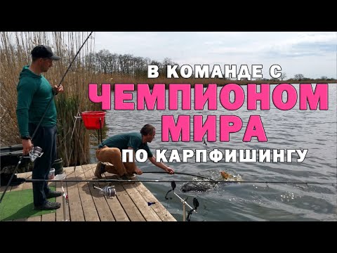 Видео: Карпфишинг. Соревнования 51 пара. Выступление с чемпионом мира. Мощные сазаны бегущие в камыш.