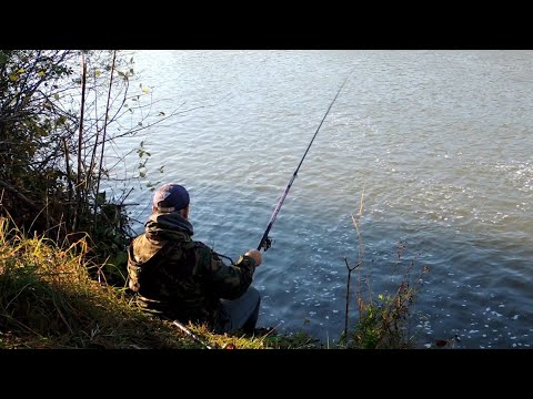 Видео: Ловля На Поплавок з Високого Берега. РИБАЛКА В ЖОВТНІ