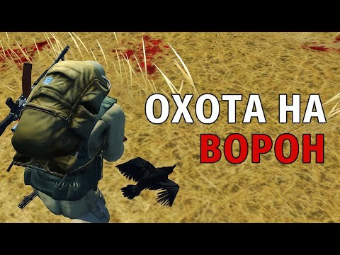 Видео: 51. Охота на Ворон. Stay Out | RU2