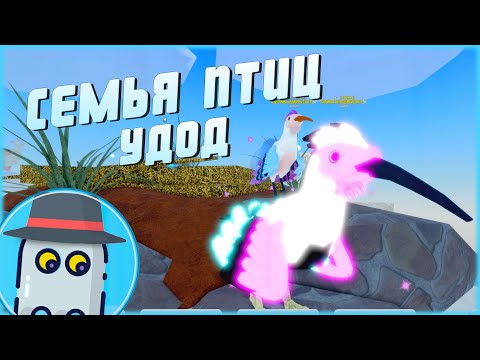 Видео: 🐥УДОД!🐤 СЕМЬЯ ПТИЦ 🦆РОБЛОКС 🐦ОБНОВЛЕНИЕ 🐤HOOPOE 🦢FEATHER FAMILY 🐥ROBLOX 🐤UPDATE