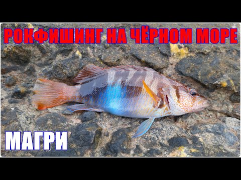 Видео: Рокфишинг на Чёрном море. Магри