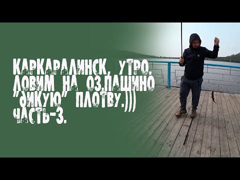 Видео: Каркаралинск, утро.Ловим на оз.Пашино"дикую" плотву.)))Часть-3.