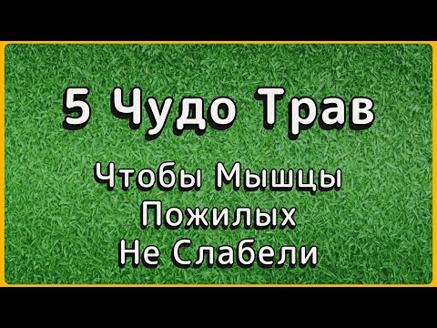 Видео: Слабость в мышцах после 60? Эти травы вернут силу за месяц.