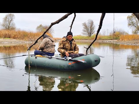 Видео: ШАЛЕНИЙ КЛЬОВ КАРАСЯ НА ЗИМОВІ СНАСТІ. Рибалка на боковий кивок