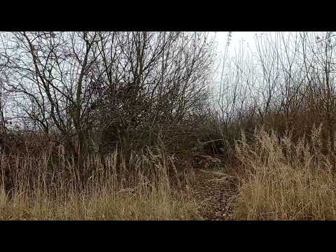 Видео: Чому почав знімати монолог?Немає друзів,депресія ,ніхто не розуміє,як жити далі???