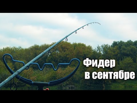 Видео: Рыбалка в сентябре на фидер, как она есть на реке Дон