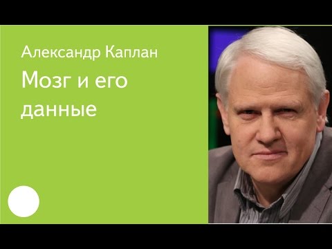 Видео: 005. Мозг и его данные — Александр Каплан