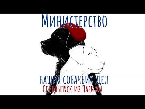 Видео: #3: Специальный выпуск из Парижской школы собак-поводырей
