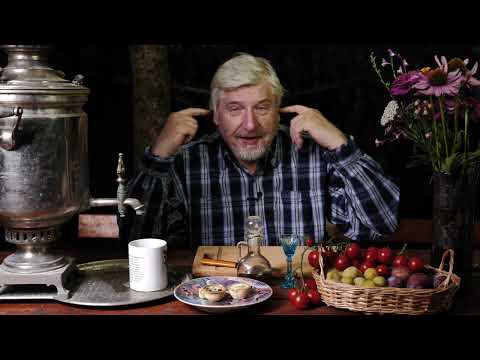 Видео: Мушиные вопросы 3 С.В Савельев