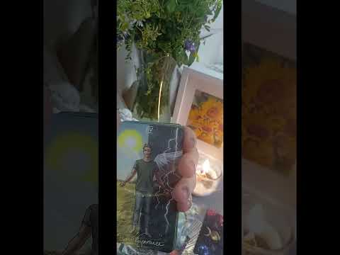Видео: Загадка жизни... 