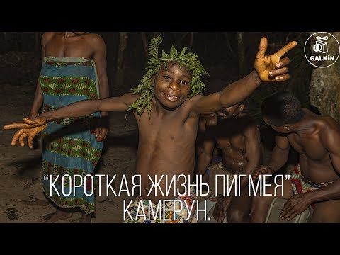 Видео: КОРОТКАЯ ЖИЗНЬ ПИГМЕЯ. КАМЕРУН. - (Полная версия)