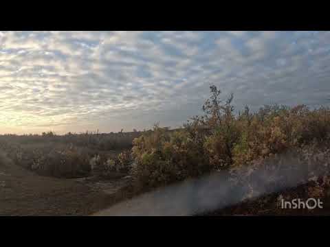 Видео: Открытие охоты