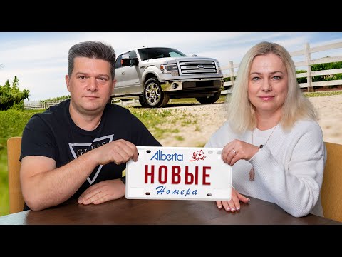 Видео: Новые номера Альберты: за что голосовать?