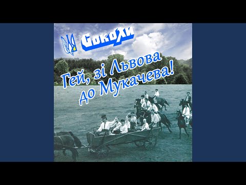 Видео: Тихий Дунай