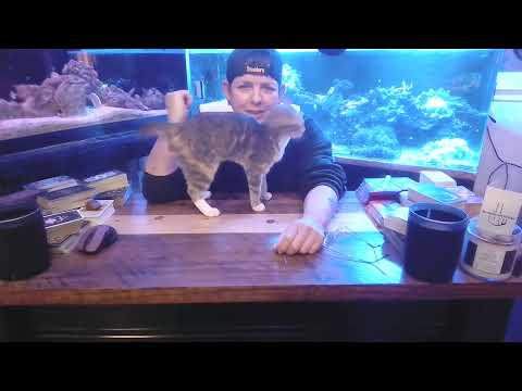 Видео: Я ДУМАЛ, ЧТО ТЫ ЛОХ!! К СОЖАЛЕНИЮ ОШИБСЯ....⚖️🍭🍭 #коллектив #зодиак #ненавистники #новый