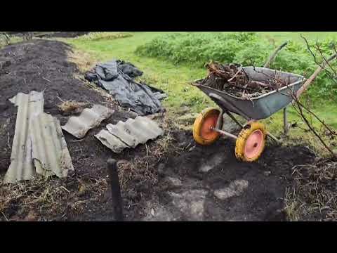 Видео: Саша, вот что такое пырей.//11.11.25.