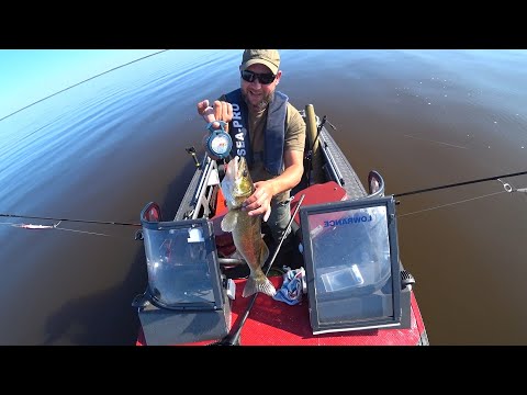 Видео: ВОТ ЭТО БУТЫЛОЧКИ, ВОТ ЭТО ОНИ РАЗДАЮТ! ПОШЛА ЗАГОТОВКА РЫБЫ \ НАШЛИ ЖИВЦА, УХА ИЗ СУДКА НА ОБЕД!