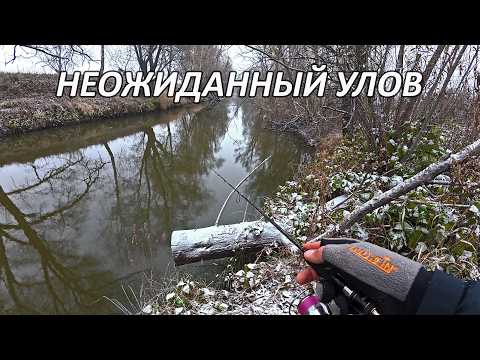Видео: Микроджиг по первому снегу и НЕОЖИДАННЫЙ УЛОВ на малой речке