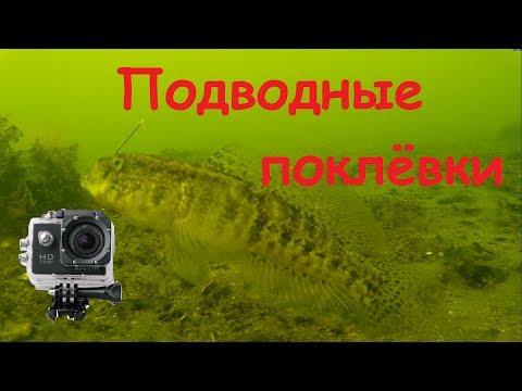 Видео: Подводные Поклёвки Бычка на Тилигуле!!!!!!!