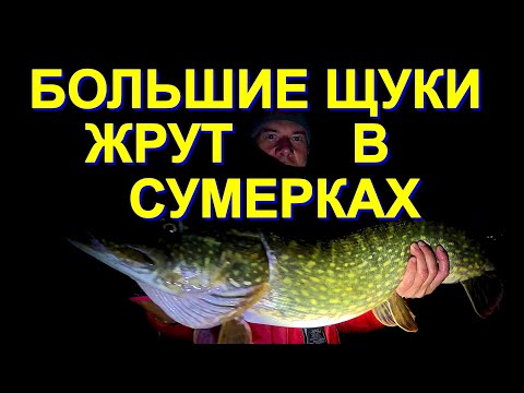 Видео: Новое озеро, гипотезы и трофейная ЩУКА в первый день! Моя тактика поиска рыбных озер в Финляндии