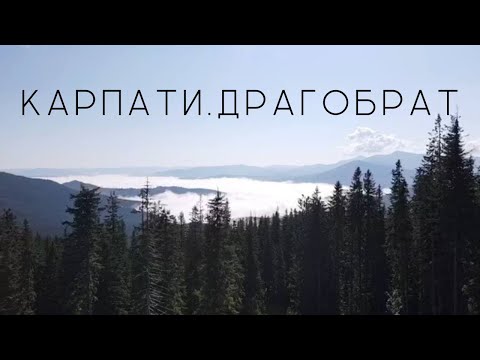 Видео: Карпати влітку І Драгобрат I ОАЗА: ціни та розваги