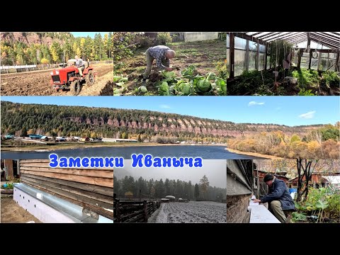 Видео: Первый снег и подготовка дома и огорода к зиме.