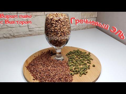 Видео: Пивасик из ГРЕЧКИ! ВАРИМ ДОМАШНЕЕ ПИВО ГРЕЧНЕВЫЙ ЭЛЬ (Buck-wheat ale)