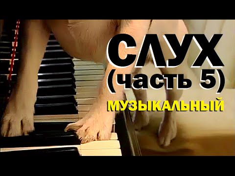 Видео: Галилео. Слух 5. Музыкальный слух