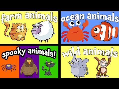 Видео: Коллекция мультфильмов для животных