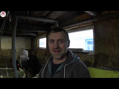 Видео: Продолжаем лить бетонные полы в свинарнике и зима в Сибири не помеха!!