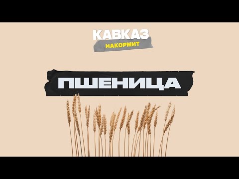 Видео: Кавказ накормит. Пшеница