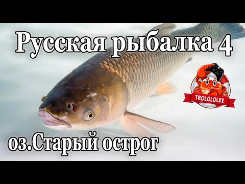 Видео: Русская рыбалка 4 Амур белый оз  Старый острог  Точка которую все и так знают