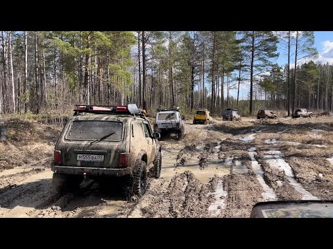 Видео: Таёжная экспедиция. Часть 2