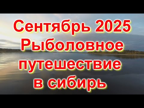 Видео: Пур 2025