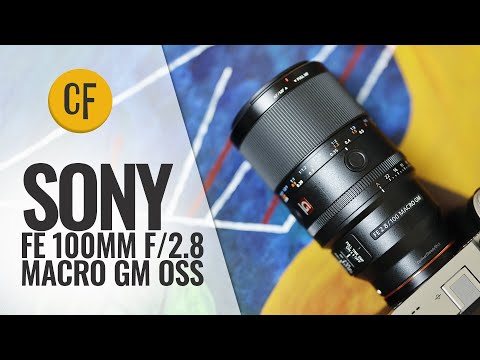 Видео: Обзор объектива Sony FE 100mm f/2.8 Macro GM OSS + 2x телеконвертер