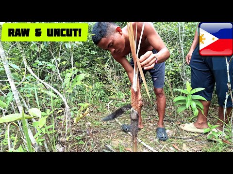 Видео: 🇵🇭 ФИЛИППИНСКАЯ ЕДА В ДИКОЙ ПРИРОДЕ!