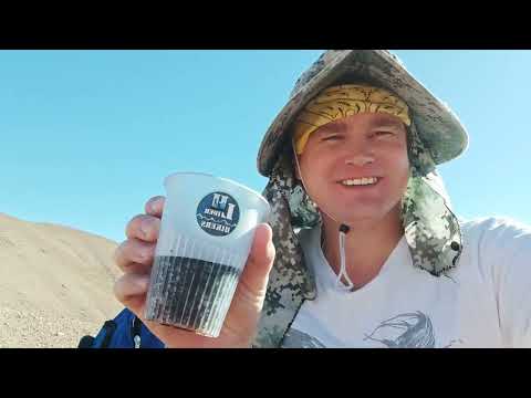 Видео: Восхождение на вершину Реваш 3227 м.