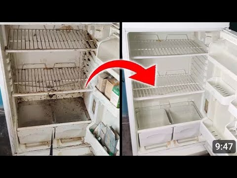 Видео: ХОЛОДИЛЬНИК НИ ТОЗАЛАШ УСЛУБИ 🤣🤣👍👍👍👍👍