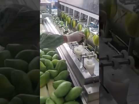 Видео: Как чистят #манго на заводе