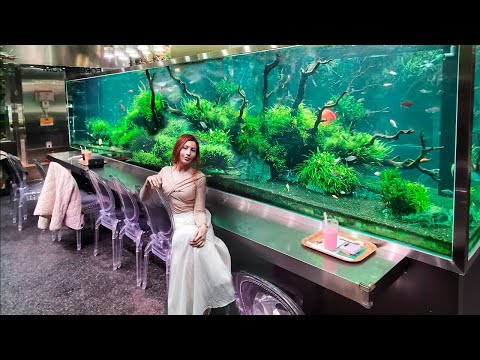 Видео: Aqua garden | кафе в Южной Корее | Природный аквариум