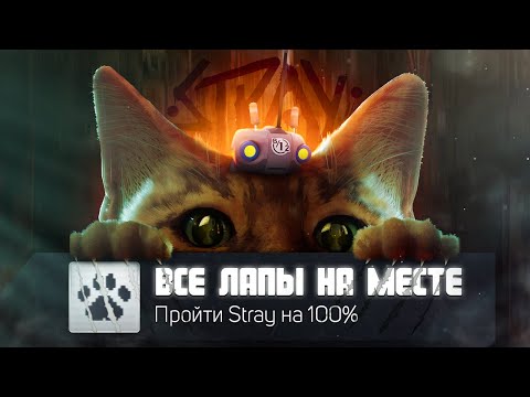 Видео: Прошёл Stray на 100% достижений!!!